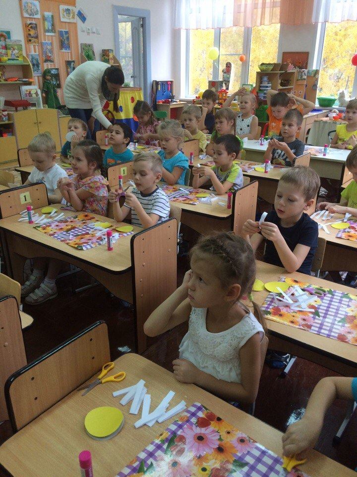Ромашка для кошки