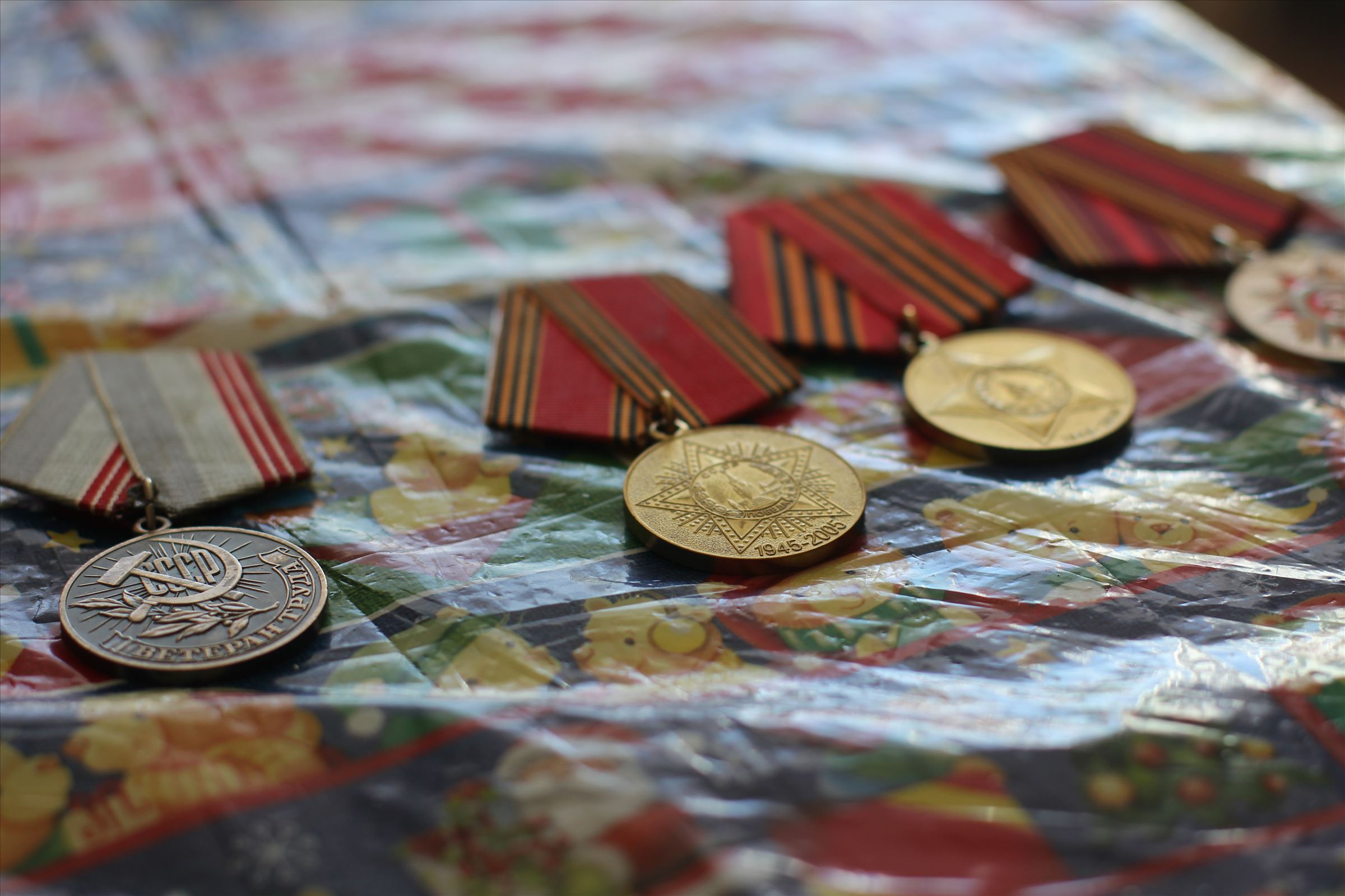 Награды Надежды Григорьевны